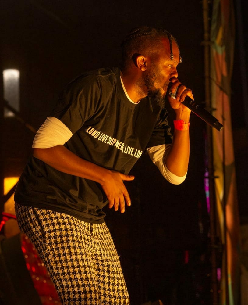 Artists Performances 195